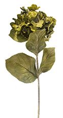 HYDRANGEA STEM 29" FLOR GREEN