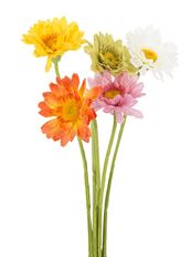 GERBERA DAISY STEM AST COLOR