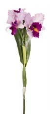 CATTLEYA ORCHID 27" TT