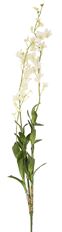 ORCHID DENDROBIUM 55" CREAM