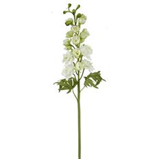 DELPHINIUM 23&quot; WHITE