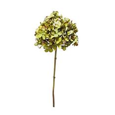 HYDRANGEA 18" GREEN/PURPLE