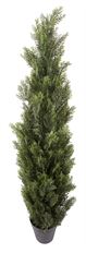 CEDAR TREE 5' POTTED GREEN