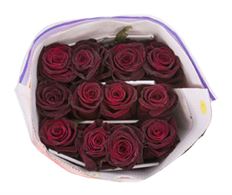 ROSE BLACK BACCARA