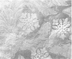 FOIL POLY SILVER 20"X30'