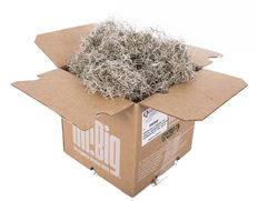 MOSS SPANISH 5LB MR. BIG