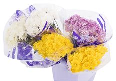 POM CUSHION ASSORTED