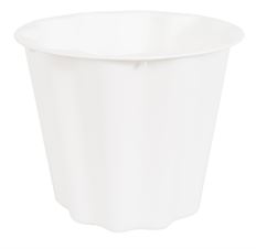 ULTIMATE CONT 6.5" WHITE