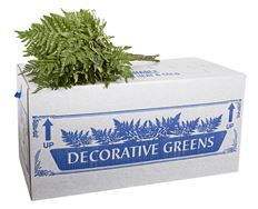 LEATHERLEAF 50 BU CASE