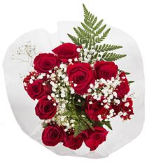 ROSE BQT-12 RED W/ FILL