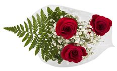 ROSE BQT-3 RED w/ FILL & GRNS