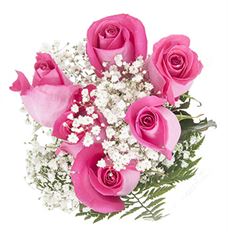 ROSE BQT-6 COLOR w/ FILLER