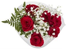 ROSE BQT-6 RED w/ FILLER