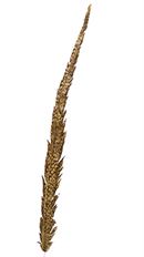 PICK FAUX FEATHER 29" NATURAL 12/PK
