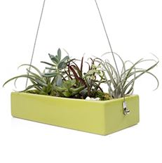 HANGING PLANTER CHARTREUSE