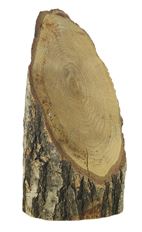 PLACECARD 4X7.75" FOREST