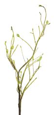BRANCH W LEAF SPRAY 51&quot;GREEN