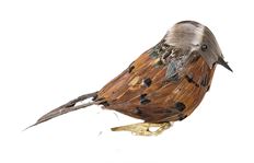 FEATHER BIRD CLIP-ON ORN