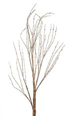 BIRCH BRANCH 53" NATURAL