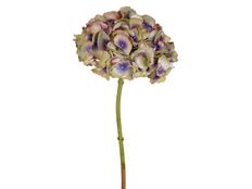 HYDRANGEA 18.5" EGGPLANT GREEN