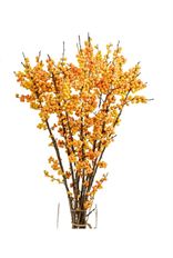 WINTERBERRY MEDIUM 5-STEM