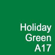 DYE STEM ABSORBIT HOLIDAY GREEN 4OZ