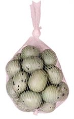 ROBIN EGG 1.5" 24/PK BLUE