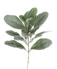 LAMBS EAR STEM 15" GREEN