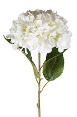 HYDRANGEA 44" WHITE