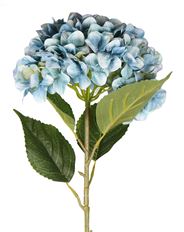 HYDRANGEA 44" LIGHT BLUE