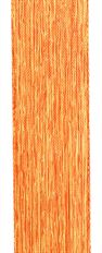 RIBBON NYLA TROP ORG #9X10YDS