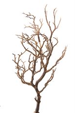 MANZANITA BRANCH 36" BROWN