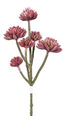 SUCCULENT SPRAY 17" BURGUNDY X6