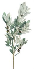 OLIVE TREE BRANCH 37" BURG GREEN