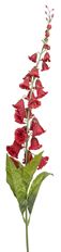 FOXGLOVE SPRAY 39" MINI RED