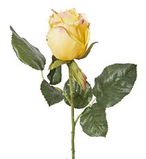 ROSE 24" SPRAY YELLOW