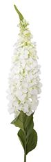 HYDRANGEA FOXTAIL 45" WHITE