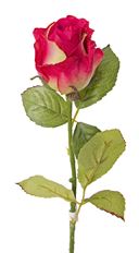 ROSE BUD SPRAY BT/GR