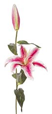 LILY RUBRUM 32" SPRAY PINK/BTY