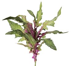 FERN LEAF BUSH PURPLE 24"