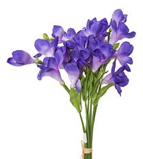 FREESIA BUNDLE 17" PURPLE