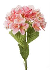 HYDRANGEA SPRAY 31" CORAL