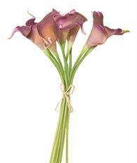 CALLA LILY BUNDLE EGGPLANT 14&quot;