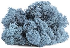 MOSS REINDEER 8 OZ AZUL