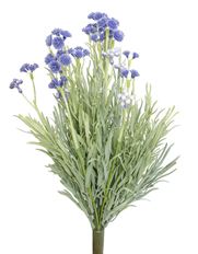 MEXICAN LAVENDER BUSH 15" GRE/PUR