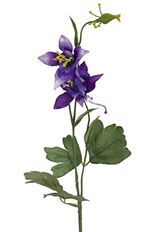 COLUMBINE 19" X2 W/BUD PURPLE