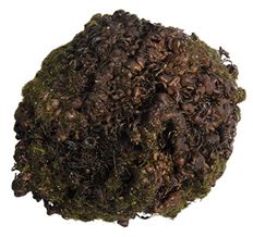 MOSS BALL 4"