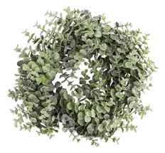 CANDLE RING EUCALYPTUS FROST GRN