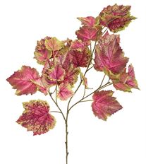 CISSUS SPRAY 25" RHUBARB