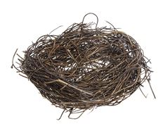 BIRD NEST 5" NATURAL